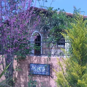 Holiday home Fig Garden, Kayakoy
